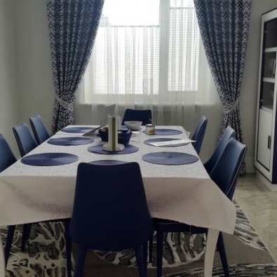Ткань для штор Днепр